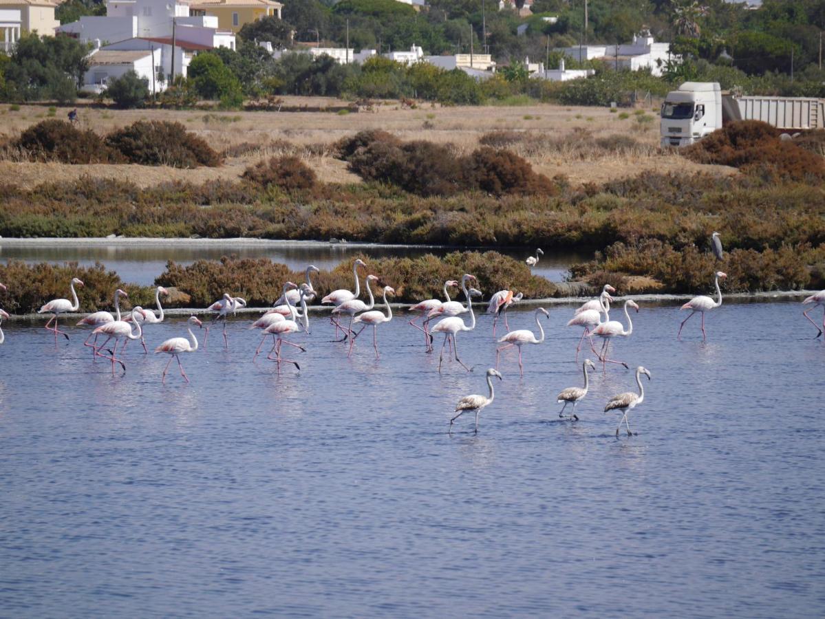Tavira Nomad Guesthouse Eksteriør billede